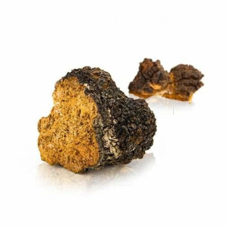 ImuneTEA
