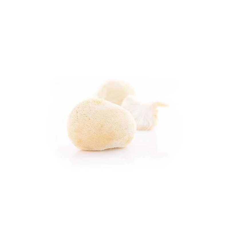 Hericium