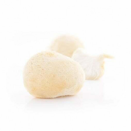 Hericium