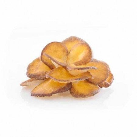 Maitake