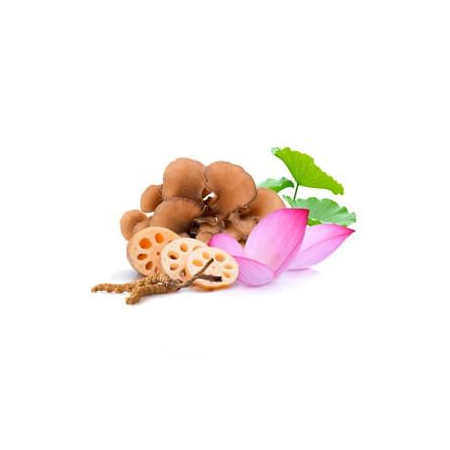 MycoSlim - 90 rostlinných kapslí