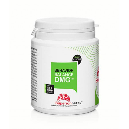 Behavior Balance-DMG