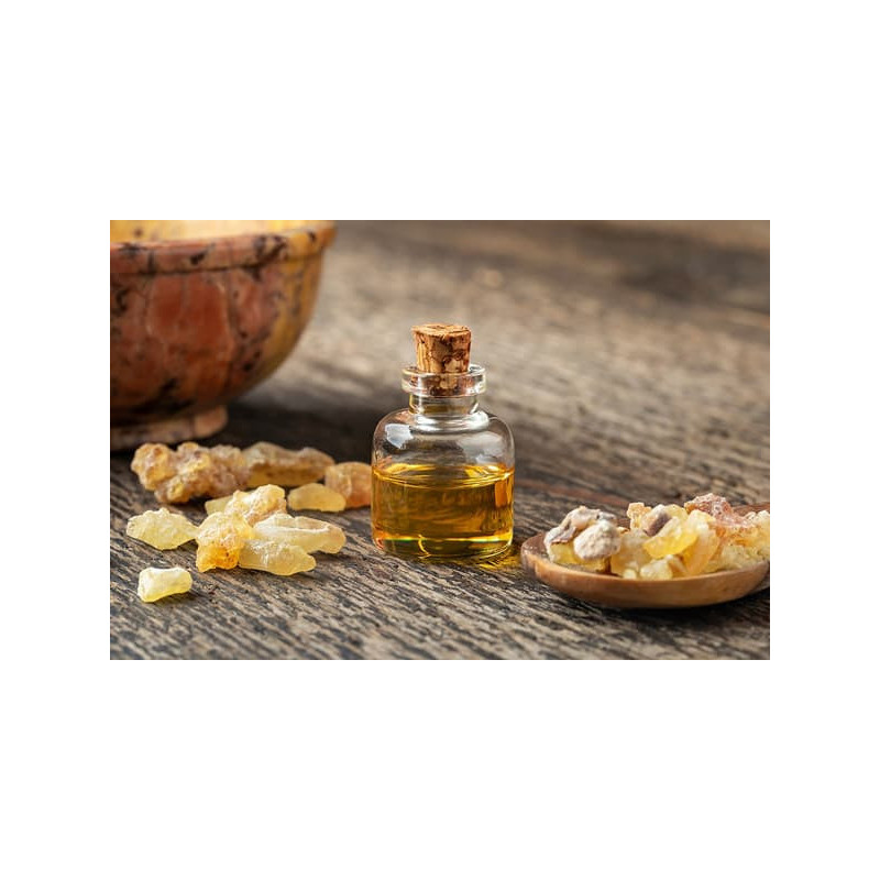 Boswellia Phytosome® – boswellin s vysokou vstřebatelností