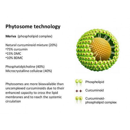 Curcumin Phytosome – kurkumin s vysokou vstřebatelností