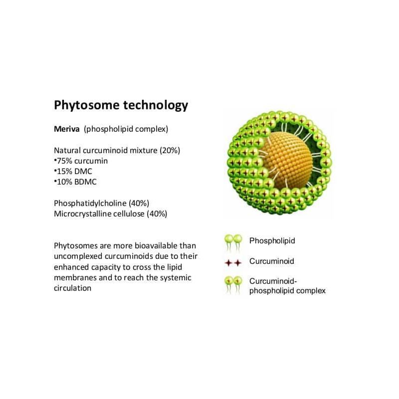 Curcumin Phytosome – kurkumin s vysokou vstřebatelností