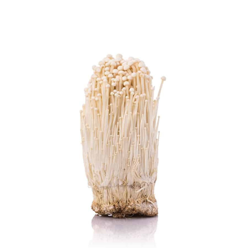 ENOKI – extrakt z penízovky sametonohé