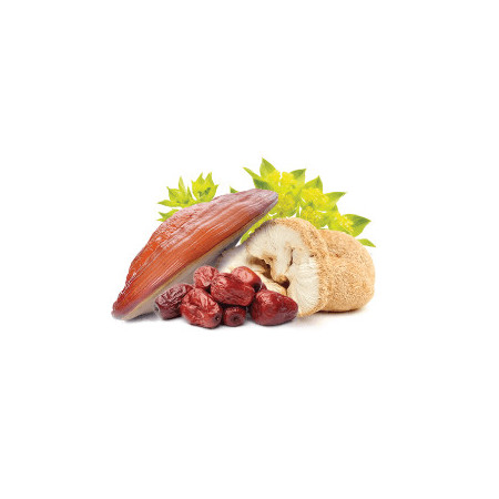 MycoSomat - 90 rostlinných kapslí