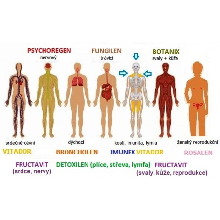 Fructavit
