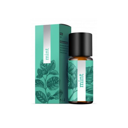 MINT - Máta